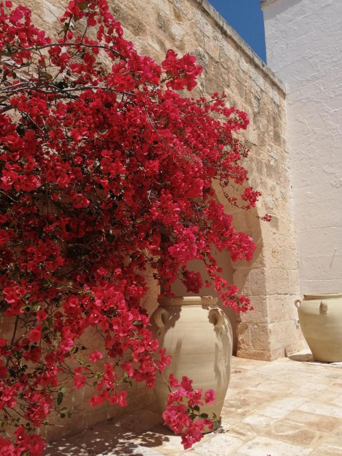 Masserie Maresca Ostuni Εξωτερικό φωτογραφία